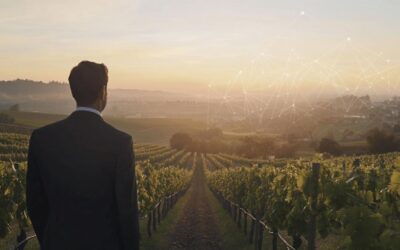 Investir dans des vignes : quand les immeubles deviennent des terroirs d’exception